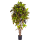 Croton exellent Kunstpflanze, H 150