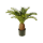 Cycas Kunstpflanze, H 65