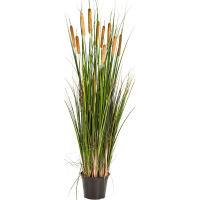 Grass Cattail Kunstpflanze, H 120