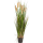 Grass Cattail Kunstpflanze, H 120
