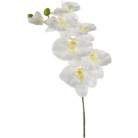 Phalaenopsis Kunstpflanze, H 80