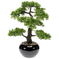 Ficus bonsai Kunstpflanze, Ø 18 H 47