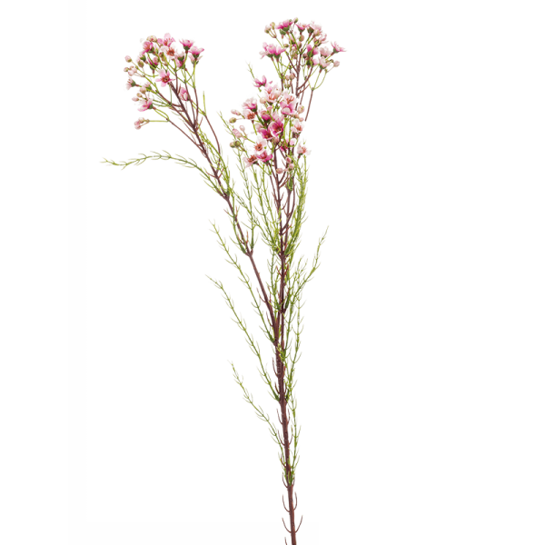 Wax Flower Kunstpflanze, H 78