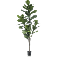 Ficus lyrata Kunstpflanze, H 150