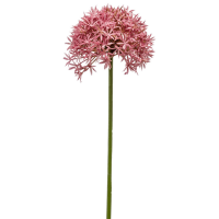 Allium Kunstpflanze, H 62