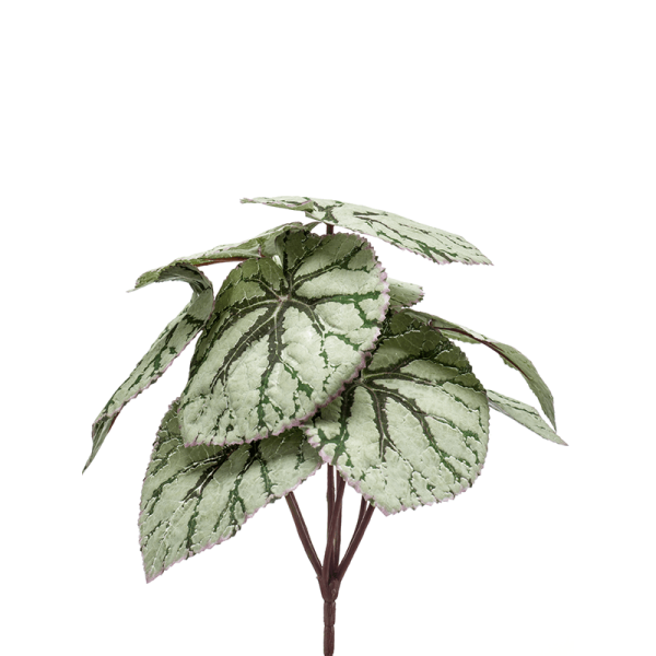 Begonia Kunstpflanze, H 25