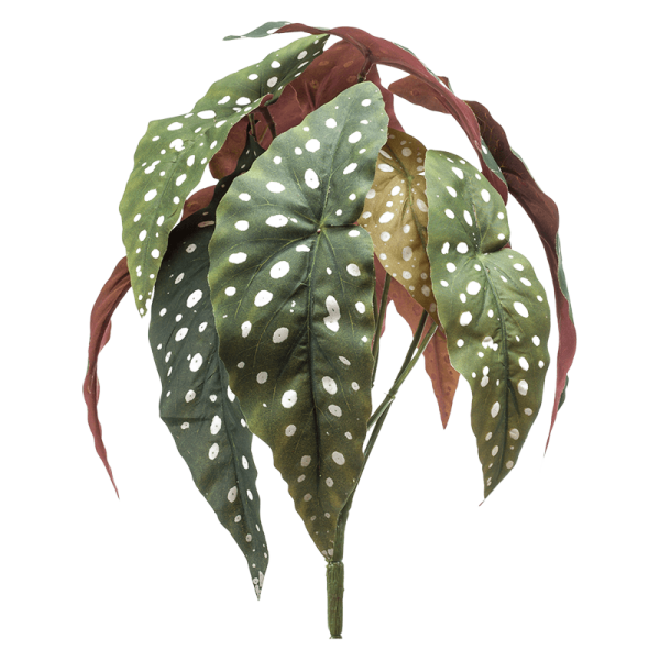 Begonia maculata Kunstpflanze, H 40