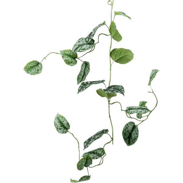 Scindapsus pictus Kunstpflanze, H 120