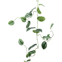 Scindapsus pictus Kunstpflanze, H 120