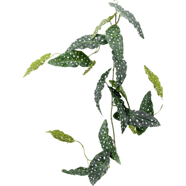 Begonia maculata Kunstpflanze, H 120