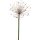 Allium Kunstpflanze, H 105