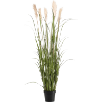 Grass Pampas Kunstpflanze, H 160
