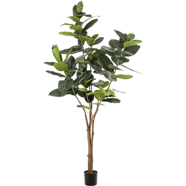 Ficus elastica Kunstpflanze, H 210