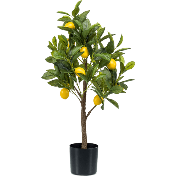 Lemon tree Kunstpflanze, H 72