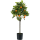 Orange tree Kunstpflanze, H 75