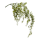 Eucalypthus Kunstpflanze, H 120