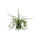 Epiphyllum Kunstpflanze, H 50