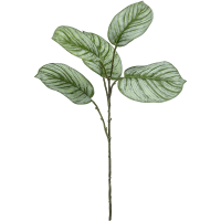 Calathea Kunstpflanze, H 74