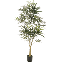 Plerandra elegantissima Kunstpflanze, H 145