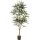 Plerandra elegantissima Kunstpflanze, H 145