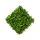 Boxwood/ Oxalis Kunstpflanze
