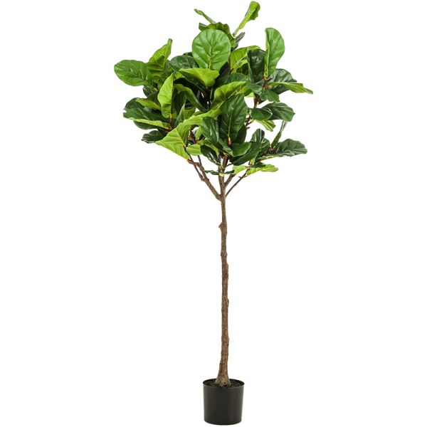 Ficus lyrata Kunstpflanze, H 195