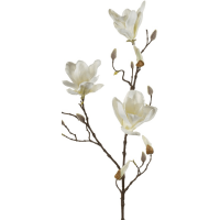 Magnolia Kunstpflanze, H 90