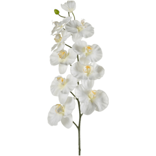 Phalaenopsis Kunstpflanze, H 100