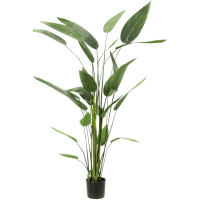 Heliconia Kunstpflanze, H 175
