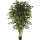 Ficus exotica Kunstpflanze, H 180