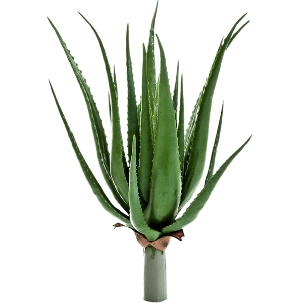 Aloe plant Kunstpflanze, H 65