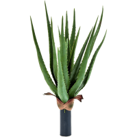 Aloe plant Kunstpflanze, H 40