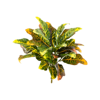 Croton Kunstpflanze, H 40
