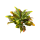 Croton Kunstpflanze, H 40