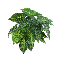 Philodendron Kunstpflanze, H 45