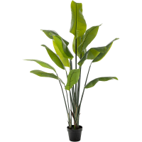 Strelitzia traveller Kunstpflanze, H 150