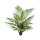 Areca Kunstpflanze, H 80