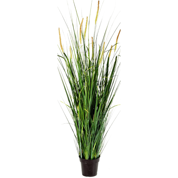 Grass Foxtail Kunstpflanze, H 140