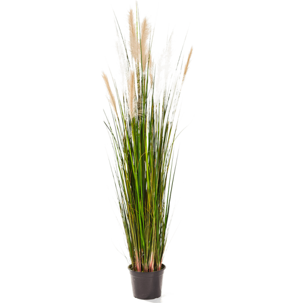 Grass Reed Kunstpflanze, H 150