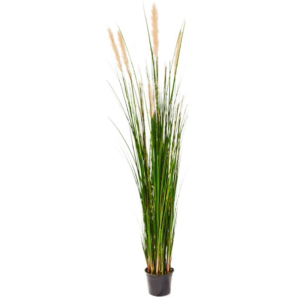 Grass Reed Kunstpflanze, H 180