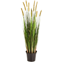 Grass Foxtail Kunstpflanze, H 180