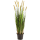 Grass Foxtail Kunstpflanze, H 180