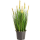 Grass Foxtail Kunstpflanze, H 60