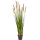 Grass Foxtail Kunstpflanze, H 120