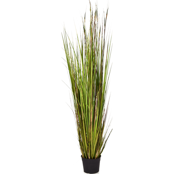Grass Bamboo Kunstpflanze, H 150