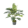 Areca Kunstpflanze, H 90