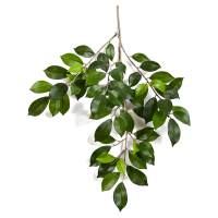 Ficus folia Kunstpflanze, H 48