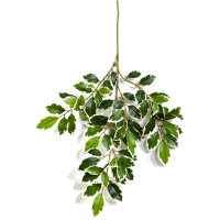 Ficus folia Var. Kunstpflanze, H 48