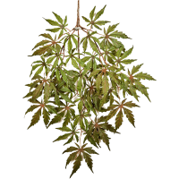 Maple Japanese Kunstpflanze, H 125