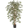 Ficus nitida Var. Kunstpflanze, H 120